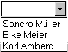Kombinationsfelder